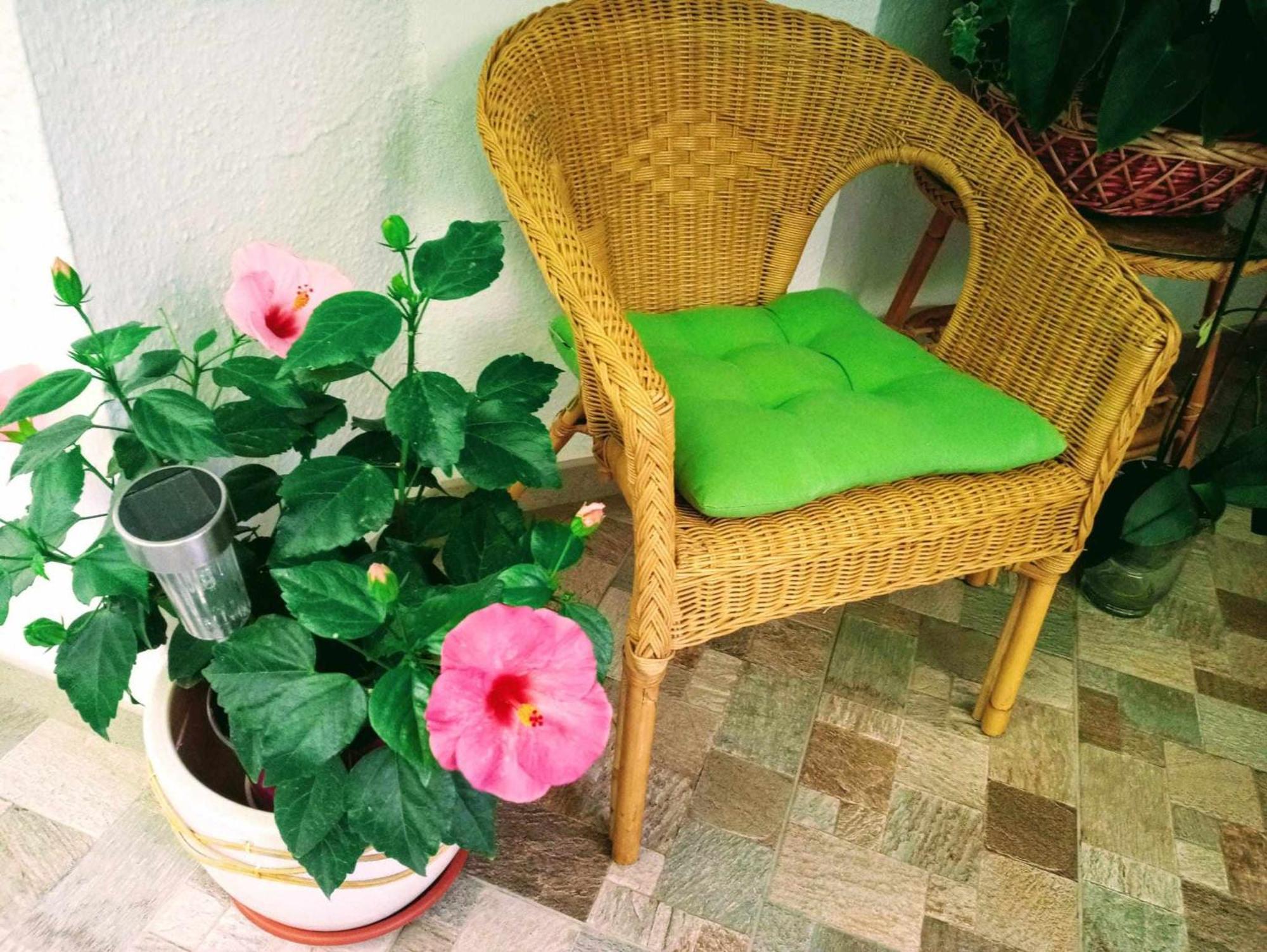 Apartamento La Carihuela A 5 Minutos De La Playavistas Al Mar Torremolinos Exterior foto