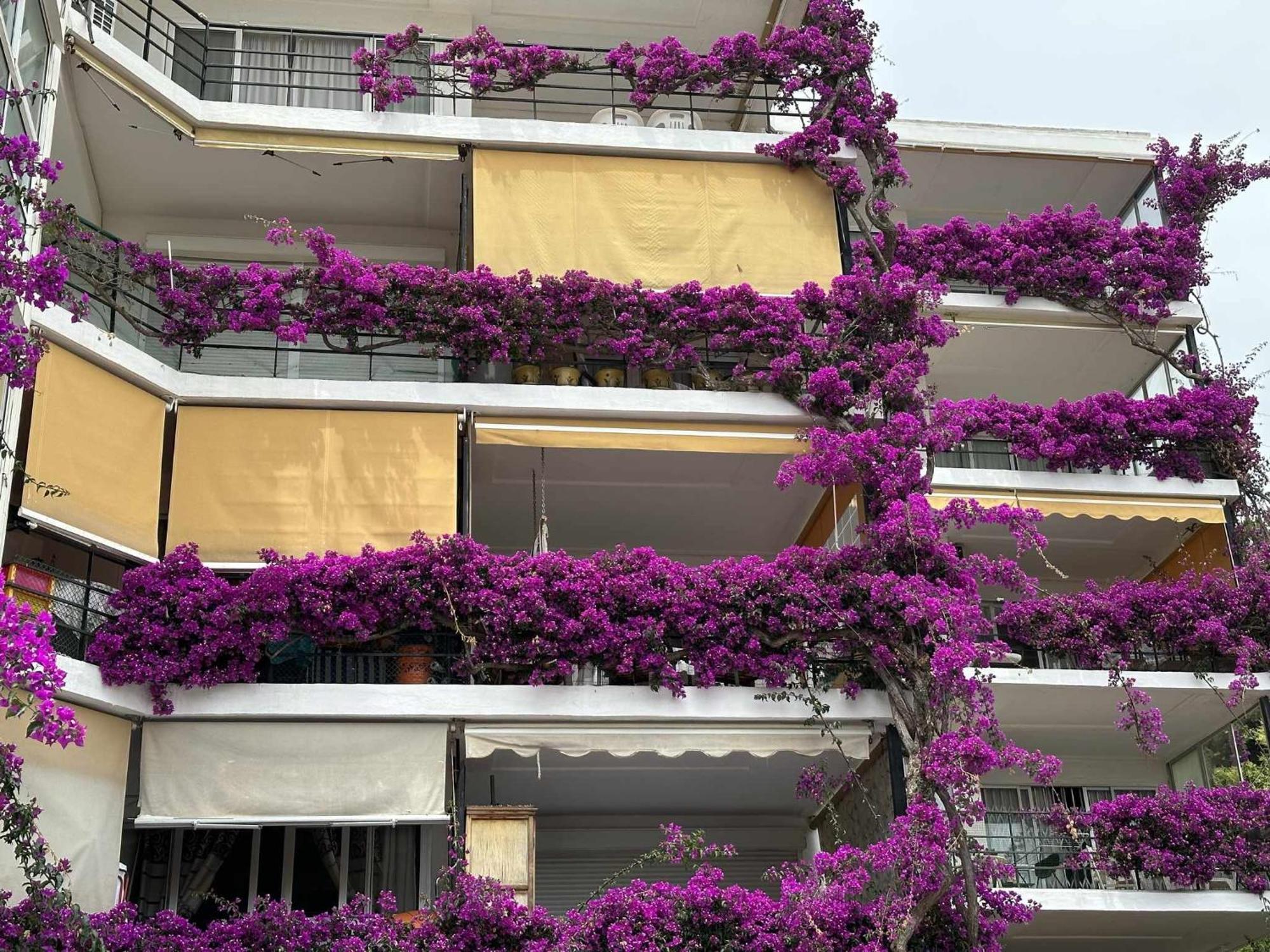 Apartamento La Carihuela A 5 Minutos De La Playavistas Al Mar Torremolinos Exterior foto